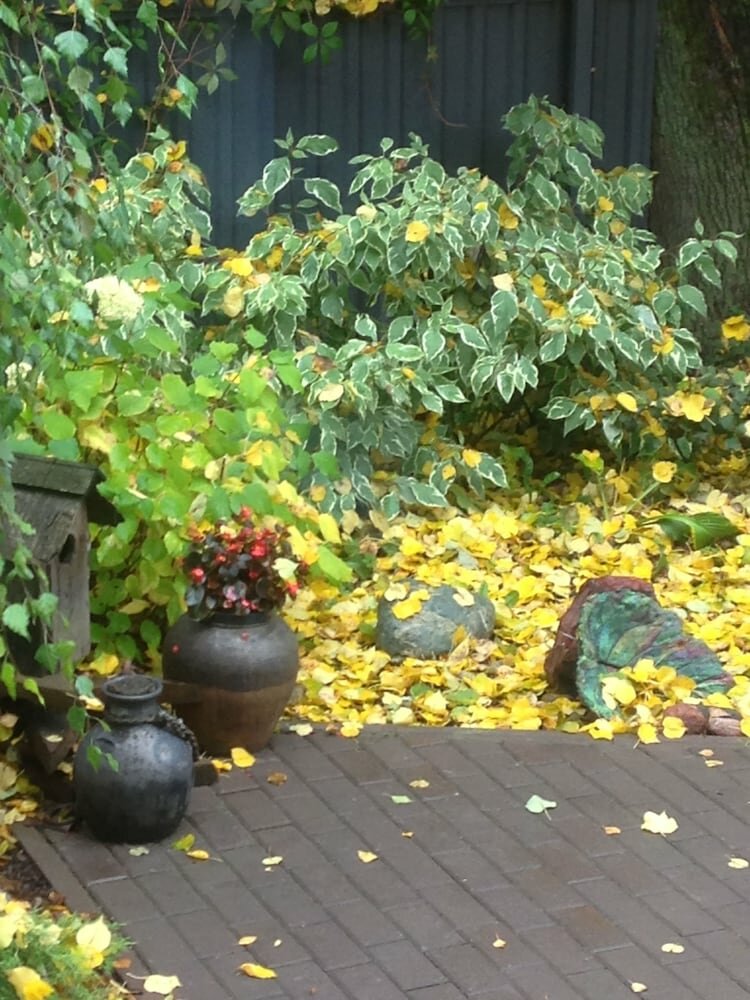 Гостевой дом Красная гора Сергиев Посад-28