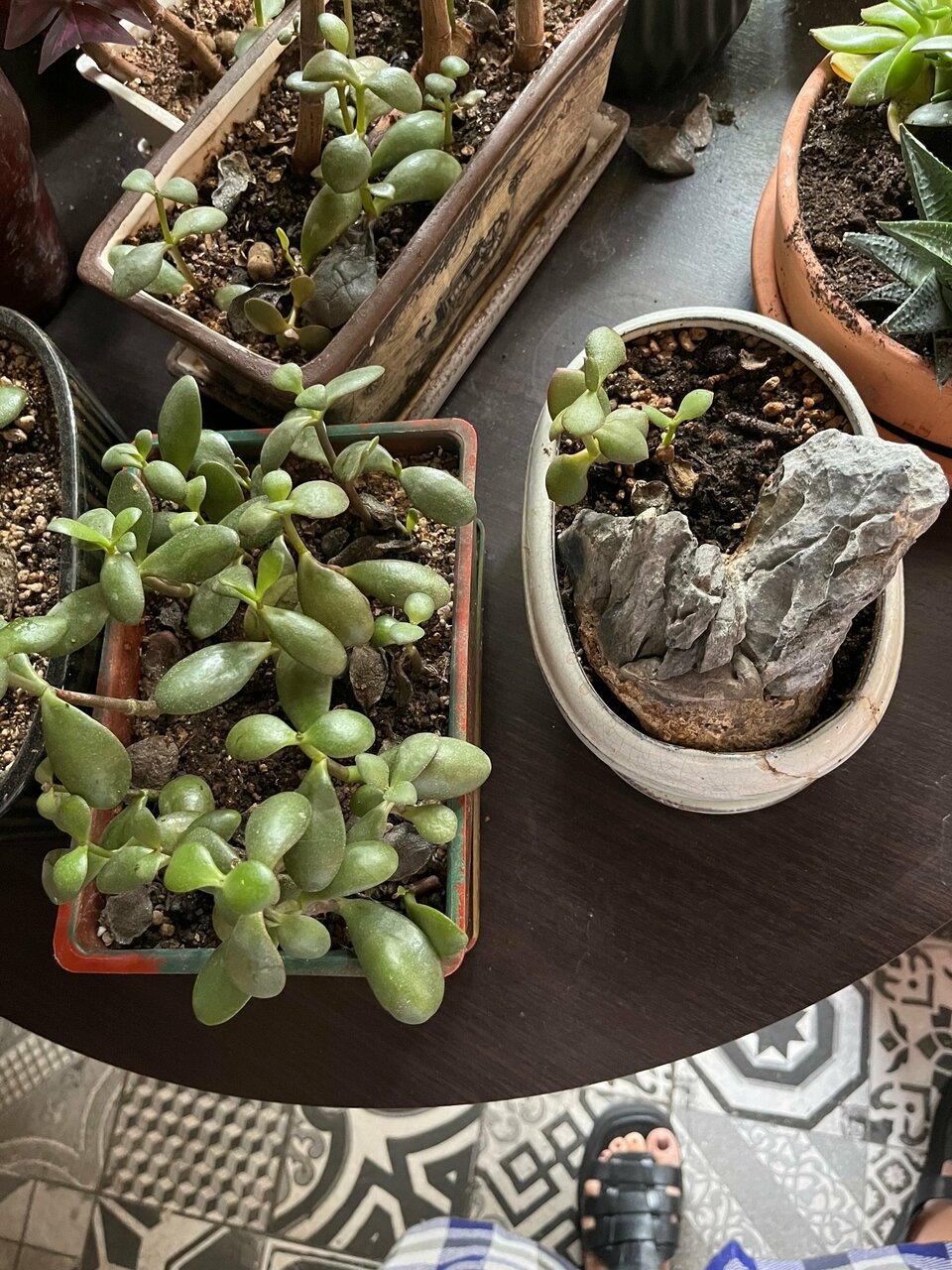 Гостевой дом Красная гора Сергиев Посад-132