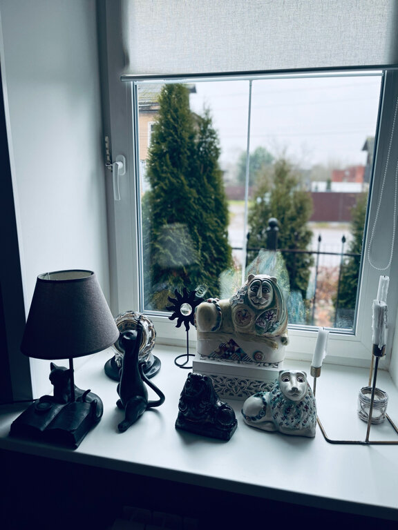 Гостевой дом Красная гора Сергиев Посад-214