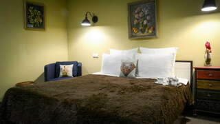 Гостевой дом Красная гора Сергиев Посад Большой двухместный номер с 1 кроватью-8