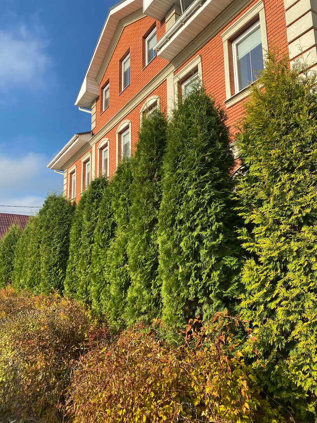 Гостевой дом Красная гора Сергиев Посад-99