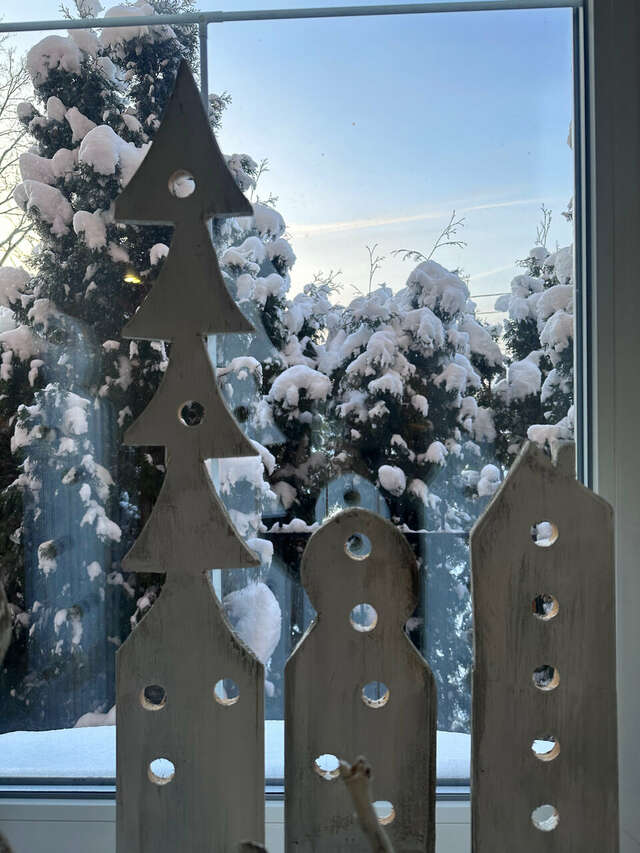 Гостевой дом Красная гора Сергиев Посад-108