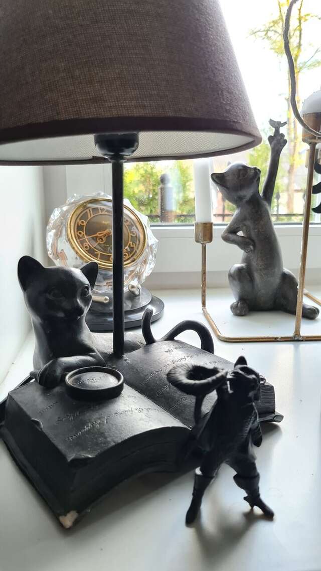 Гостевой дом Красная гора Сергиев Посад-215