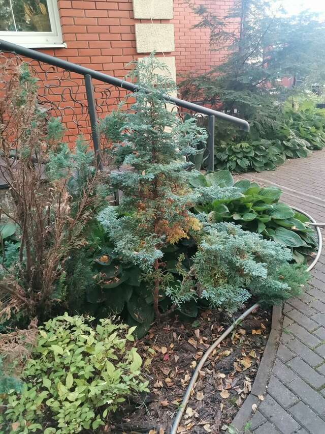 Гостевой дом Красная гора Сергиев Посад-204