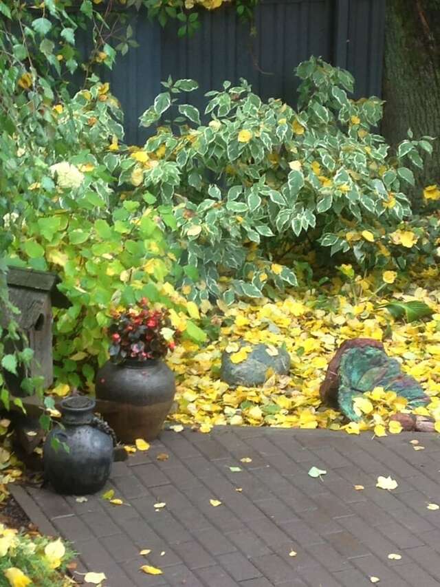 Гостевой дом Красная гора Сергиев Посад-27