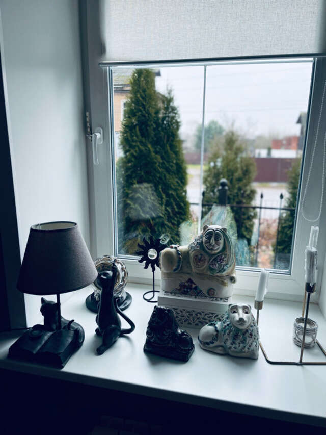 Гостевой дом Красная гора Сергиев Посад-213