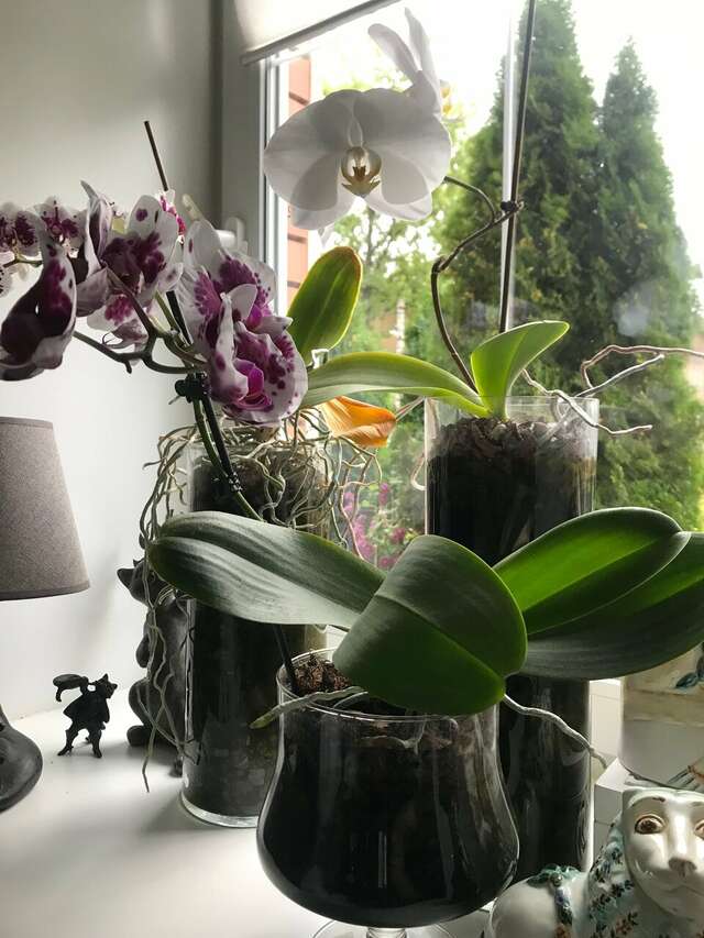 Гостевой дом Красная гора Сергиев Посад-197