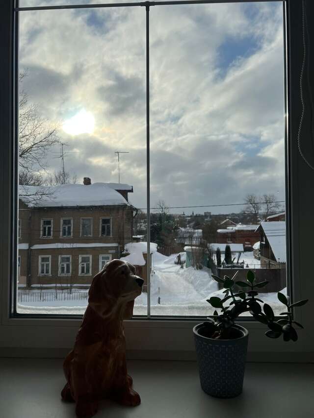 Гостевой дом Красная гора Сергиев Посад-123